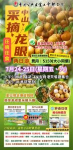🥳 慶祝香港回歸！中山两日休閒摘龍眼之旅